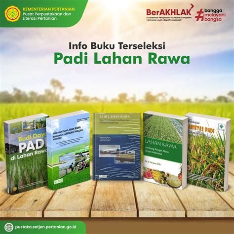 Info Buku Terseleksi Padi Lahan Rawa