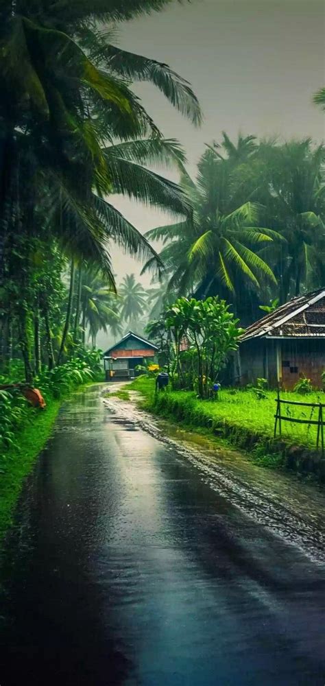 kerala monsoon   munnar photography kerala nature photography