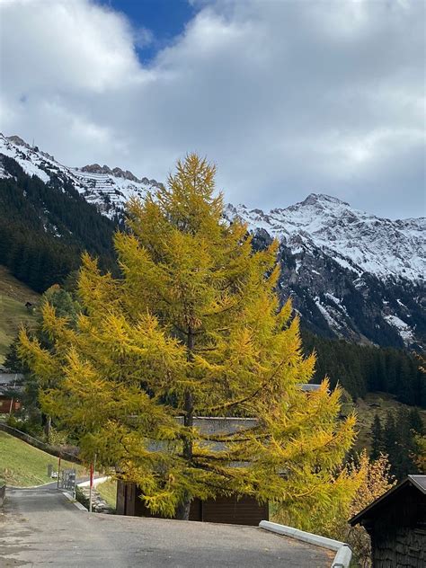 Wengen Berner Oberland Tina Frieden Flickr