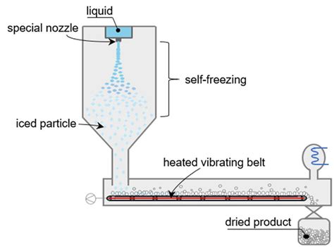 Schematic Design Of The Fine Spray Freeze Drying System Download Scientific Diagram