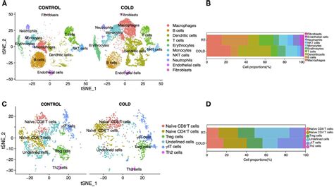 Frontiers Dynamic Changes Of Immunocyte Subpopulations In Thermogenic