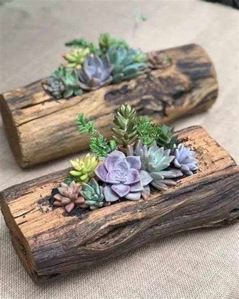 Succulent Logs Succulent Garden Diy Succulents Diy Succulent