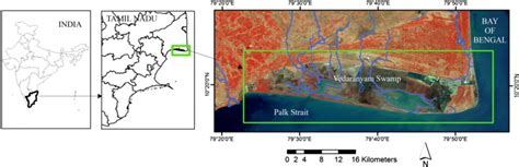 Location map of the Vedaranyam swamp | Download Scientific Diagram