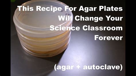 This Recipe For Agar Plates Will Change Your Science Classroom Forever