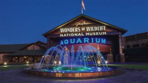 Part 5 Branson Missouri Aquarium YouTube