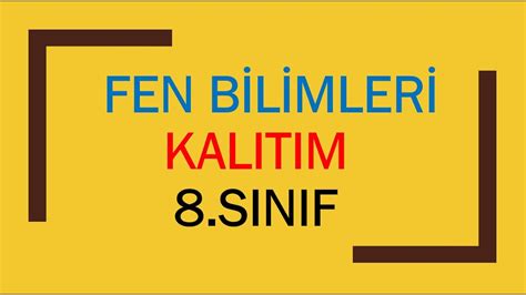 Sinif Fen B L Mler Kalitim Konu Anlatimi Youtube