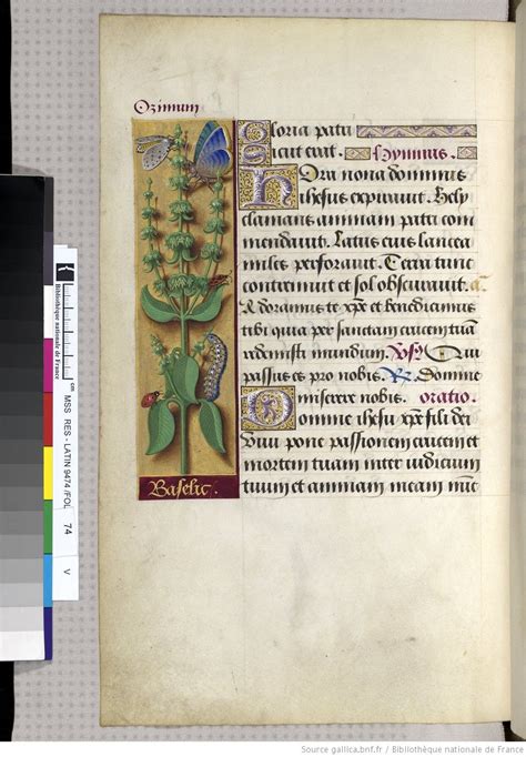 Horae Ad Usum Romanum Dites Grandes Heures D Anne De Bretagne Anne