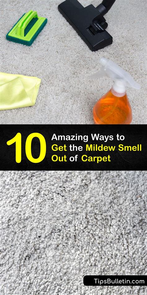 How To Get Rid Of Mildew Smell Out Of Carpet