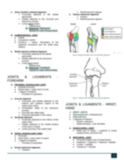 Solution Human Anatomy Upper Limb Reviewer Studypool