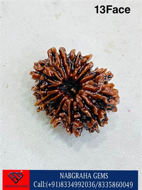 Natural Rudraksha Beads Nepali