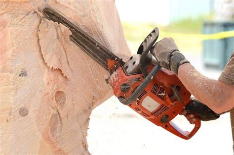 Chainsaw Wood Carving For Beginners - Epic Saw Guy