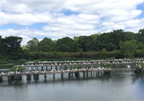 Visit New Iberia: 2021 Travel Guide for New Iberia, Lafayette | Expedia