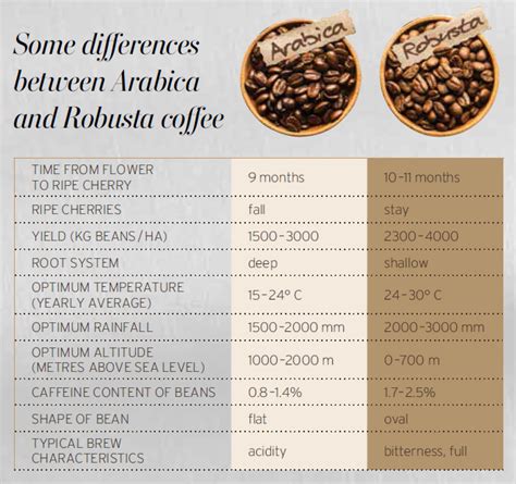 Arabica Coffee Beans Or Robusta? | Best Coffee Beans | CoffeeClick.ie