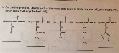 [solved] B On The Line Provided Identify Each Of The Amino Acids Below As Course Hero