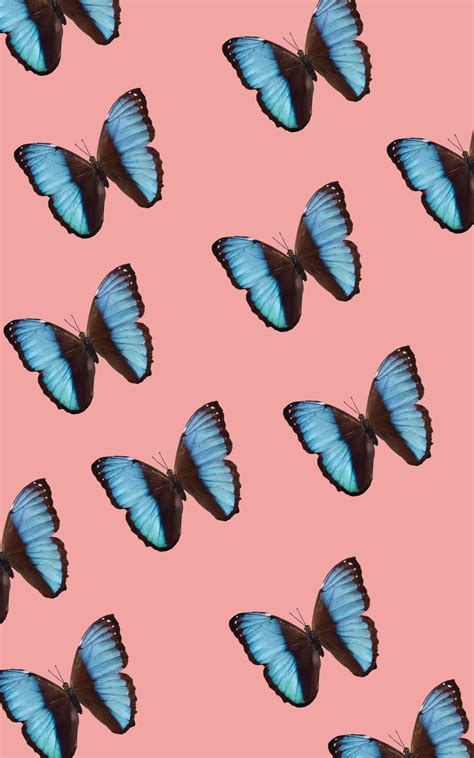 Tumblr Butterfly Wallpapers - Wallpaper Cave