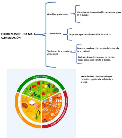 Consecuencias De Una Mala Alimentación Pdf