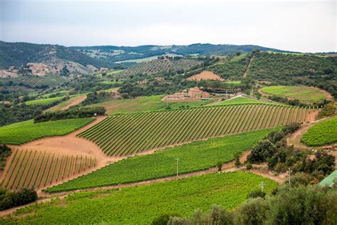 Chianti Classicowine And Culture In Chianti Classico