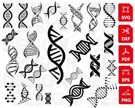 Dna Svg Molecule Svg Clone Svg Genetic Svg Gene Svg Science Svg