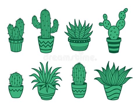 Vector Set Of Wild Cacti In Pots Cute Dessert Plants Stock Illustration Illustration Of Decor