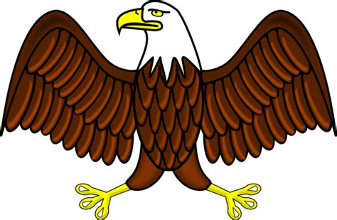 Bald Eagle Clip Art 110051 Free Svg Download 4 Vector