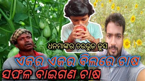 ତରଭୁଜ ଜୁସ୍ କିପରି ହଉଚି ଆସନ୍ତୁ ଦେଖିବା Odia Vlog Village Farming Vlog