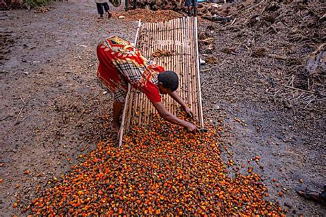 Zero Hunger Roundtable Launches Innovation Sprint In Nigeria