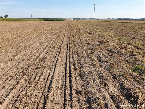 Siew rzepaku w technologii strip till zdjęcie fotka foto numer