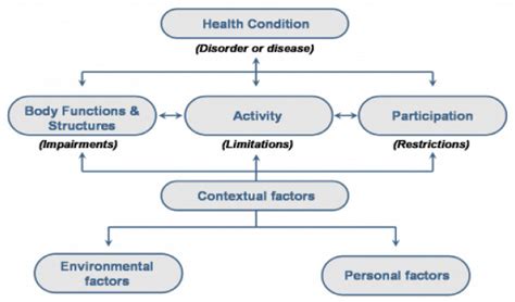 The World Health Organizations International Classification Of