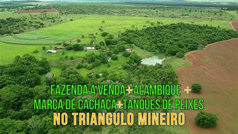 Fazenda A Venda No Triangulo Mineiro Alambique E Cacha A Youtube