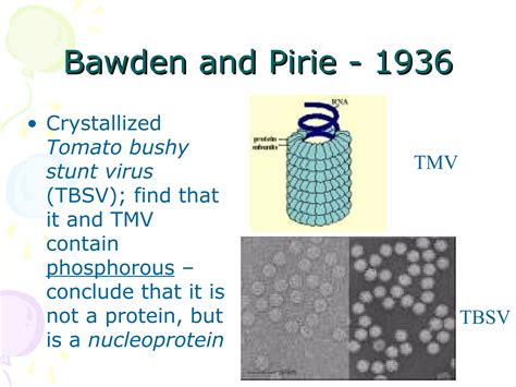 Perspectives In Plant Virology 7