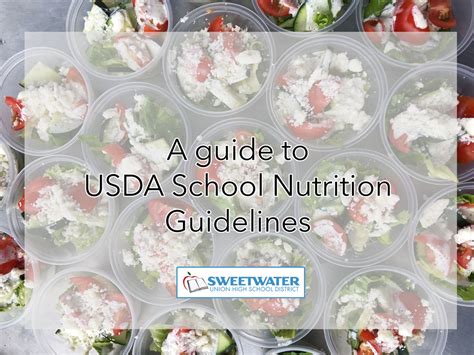 Usda Food And Nutrition Service Income Eligibility Guidelines For 2024