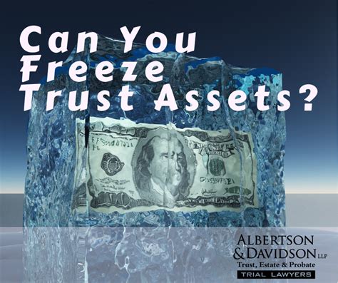 Dont Touch My Assets How To Freeze Trust Assets During A Lawsuit