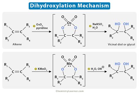 Dihydroxylation: Definition, Examples, and Mechanism