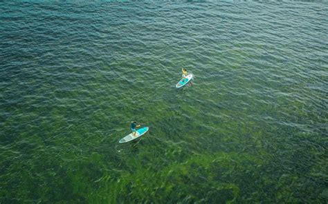 Paddle Surf En Barcelona Alquilar Paddle Surf Barceloneta