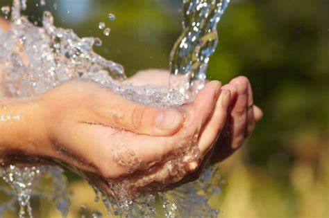 Ressources En Eau Rosée De La Reine