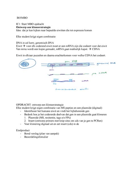 B05 MBO MBO Stappenplan Voor Verslag B05MBO IC1 Start MBO Opdracht