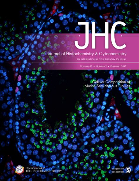 Understanding The Roles Of Fak In Cancer Inhibitors Genetic Models