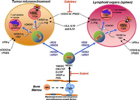 Hematopoietic growth factors ( GFs ), as well as vascular endothelial ...