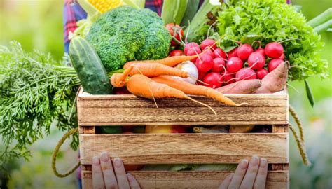 Cuál es la forma de guardar las verduras en el frigorífico Cómo y