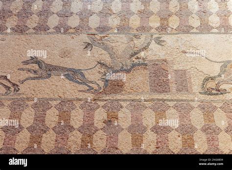 Hunting Scene Mosaic In House Of Dionysos Roman Villa In Paphos