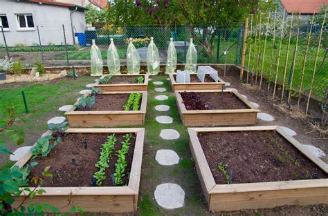 Le Top Des Fruits Et L Gumes Cultiver Dans Son Potager