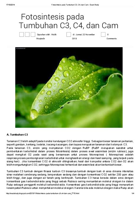 Pdf Fotosintesis Pada Tumbuhan C3 C4 Dan Cam Exact Study