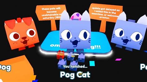 How to get the Pog Cat in Roblox Pet Simulator X