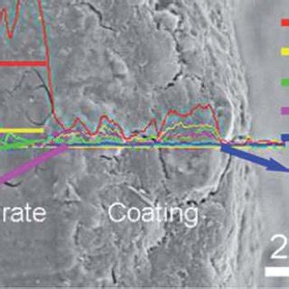 Surface Morphologies And Elemental Composition Of Samples A A And