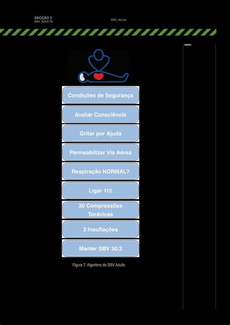 Manual de Suporte Básico de Vida SBV INEM PDF