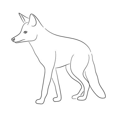 Premium Vector | Sketch drawing of a jackal isolated on a white ...