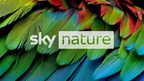 Nature Channel Tv