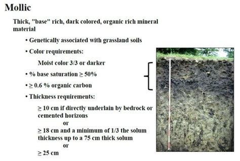 Soil Classification Flashcards Quizlet