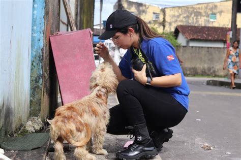 Polícia Civil investiga denúncias de maus tratos contra animais em