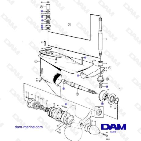 Vue Clat E Bas Inf Rieur Embase Volvo Penta Dam Marine